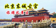 免费av啊啊啊啊中国北京-东城古宫旅游风景区
